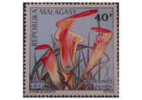 Selos Africanos. Selos Madagascar.