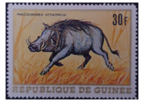 Selos Africanos. Selos Guiné.