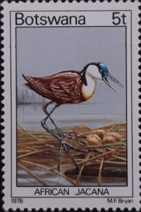 Selos Africanos. Selos Botswana.