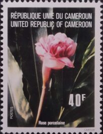 Selos Africanos. Selos Camarões.