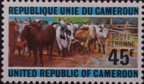 Selos Africanos. Selos Camarões.