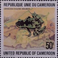 Selos Africanos. Selos Camarões.